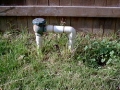 Backflow prevention (1)