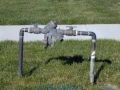 Backflow prevention (6)