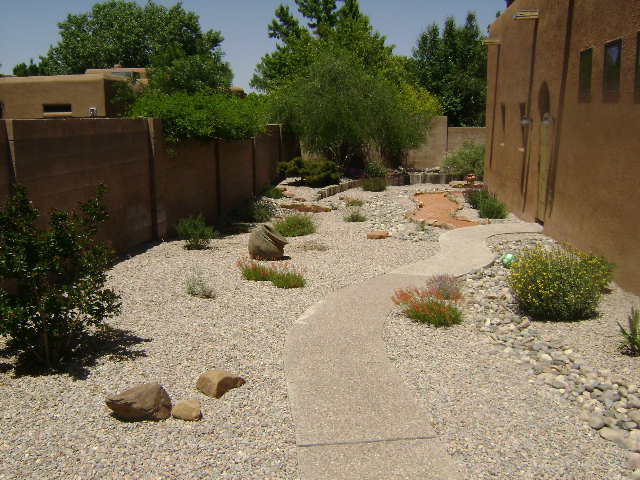 Backyard 23